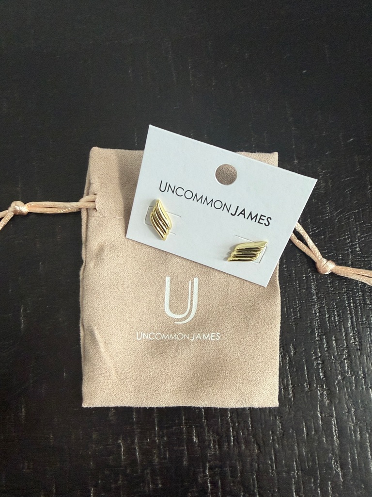 Uncommon James Celestial Earrings 20$